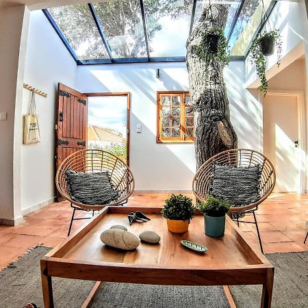 Beach Tree House بورتو سانتو المظهر الخارجي الصورة